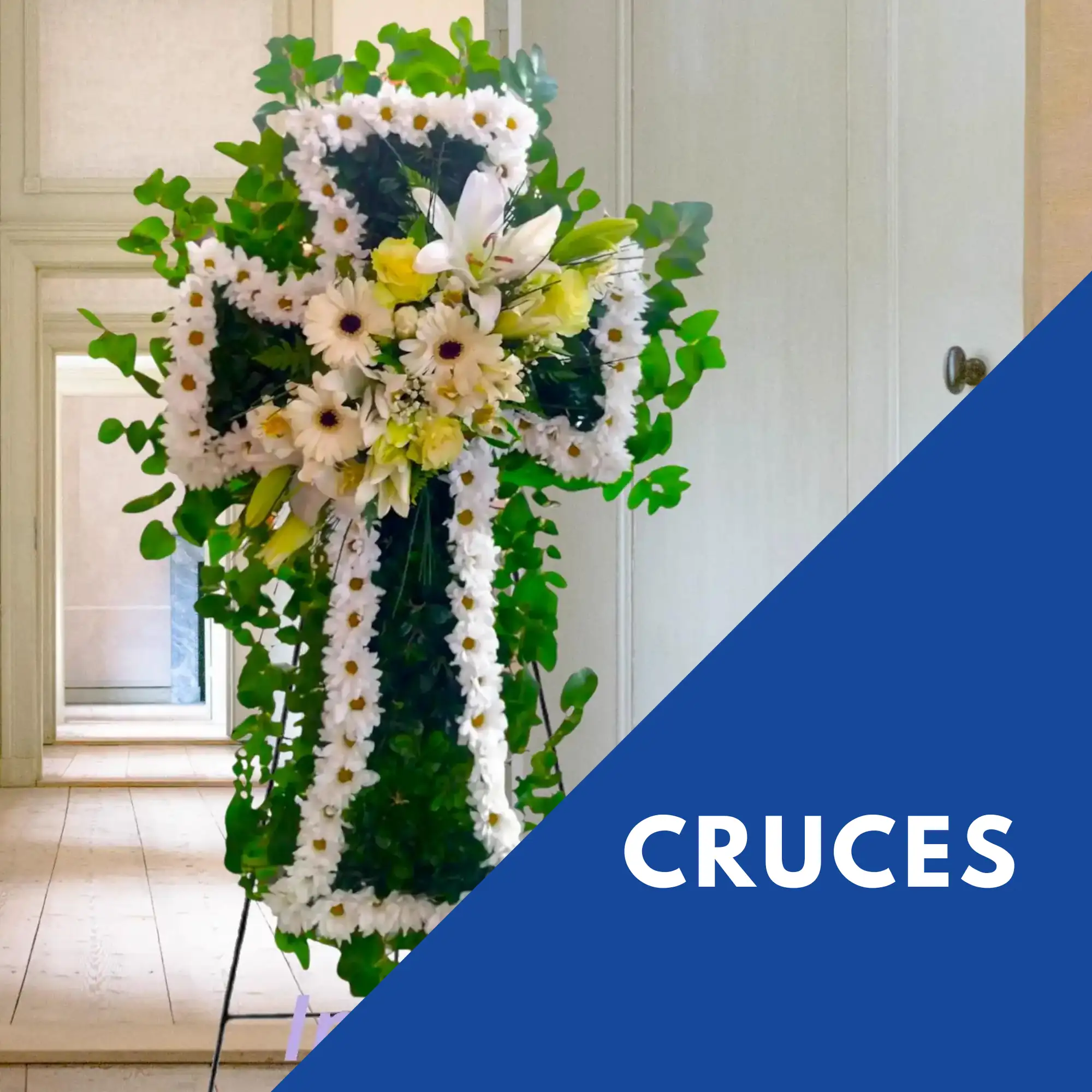 Cruces